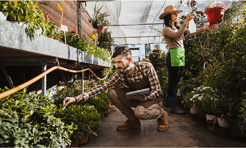 Plant & Material Selection