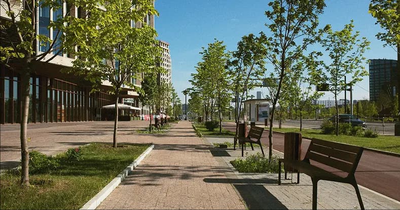 Creating Functional & Aesthetic Outdoor Environments